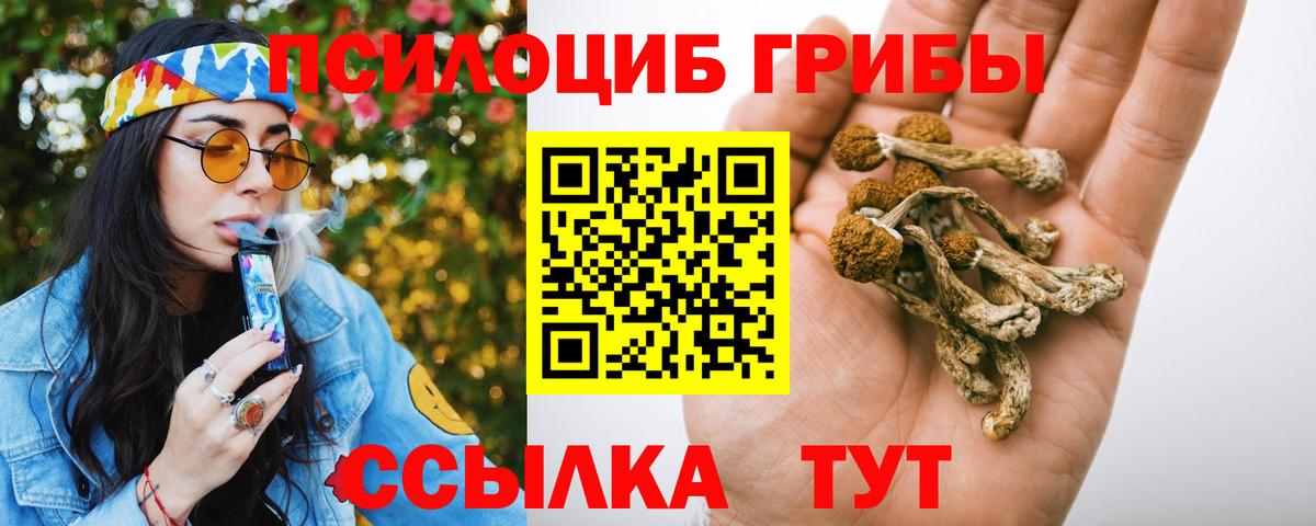 Красноуфимск  Галлюциногенные грибы Cubensis  Вход с VPN 